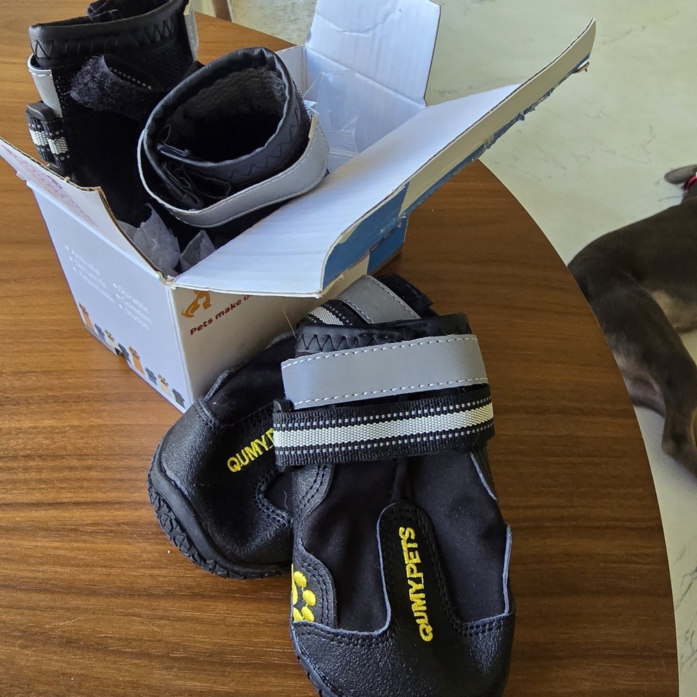 Black and Gray Dog Boots